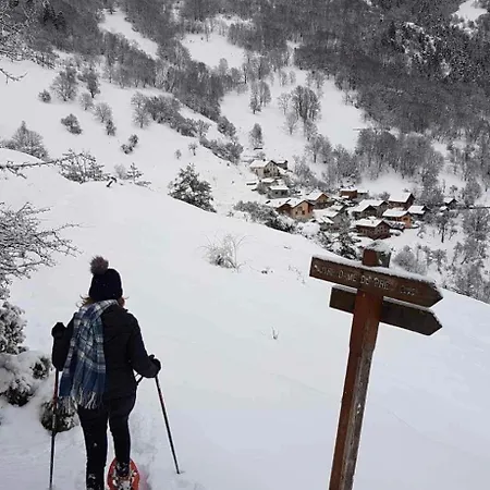 Laetitsnow & Comfort *