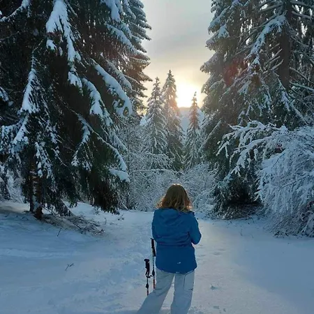 Apartament Laetitsnow & Comfort Moutiers (Savoie)